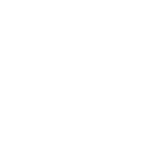 Development and Testing Icon