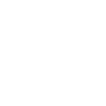 100% Secure Platform