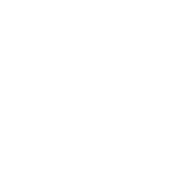 Initial Consultation Icon